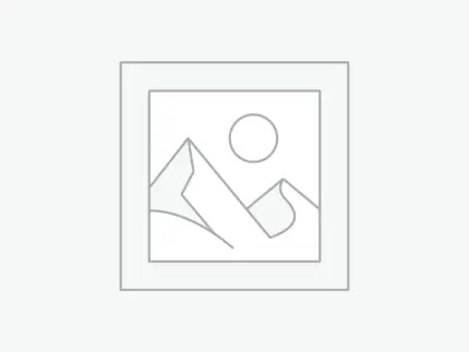 عنصر نائب Placeholder